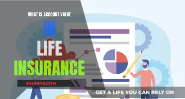 Understanding Life Insurance: Unlocking Account Value