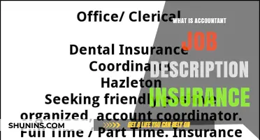 Accountant's Role in Insurance: Job Description Explained