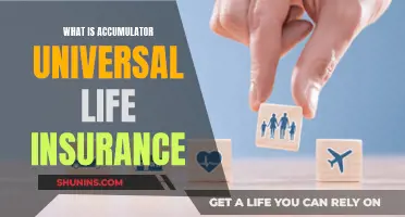 Universal Life Insurance: Understanding Accumulator Policies