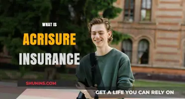 Understanding Acrisure Insurance: Coverage, Benefits, and How It Works