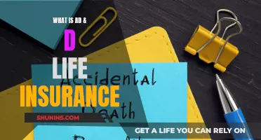 AD&D Life Insurance: What You Need to Know