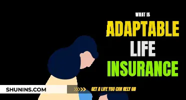 Life Insurance: Adaptable Options for a Changing World