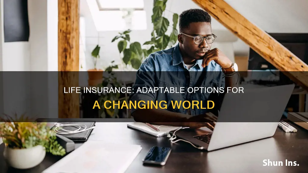 what is adaptable life insurance