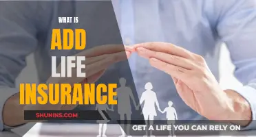 Life Insurance: Adding Years to Your Life