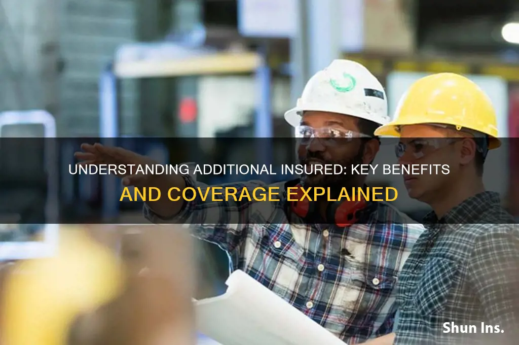 what is additional insured