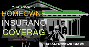 Homeowners Insurance: How Much Coverage Do You Need?