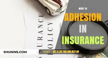 Understanding Adhesion Contracts in Insurance Policies: Key Concepts Explained