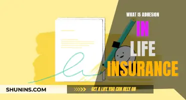 Adhesion in Life Insurance: Understanding the Fine Print