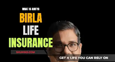 Aditya Birla Life Insurance: Comprehensive Coverage, Peace of Mind