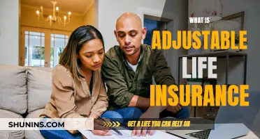 Adjustable Life Insurance: Flexibility for Your Future