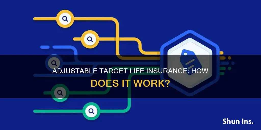 what is adjustable target life insurance