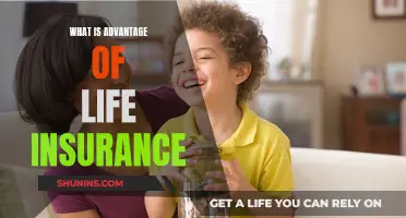 Life Insurance: A Secure Future for Loved Ones