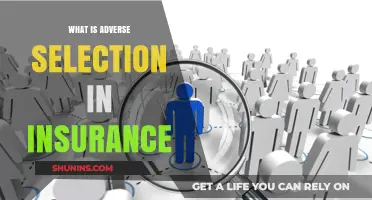 Understanding Adverse Selection: Risks and Implications in Insurance Policies
