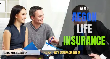 Aegon Life Insurance: Comprehensive Coverage, Peace of Mind