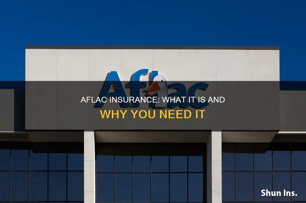 what is afflack insurance called