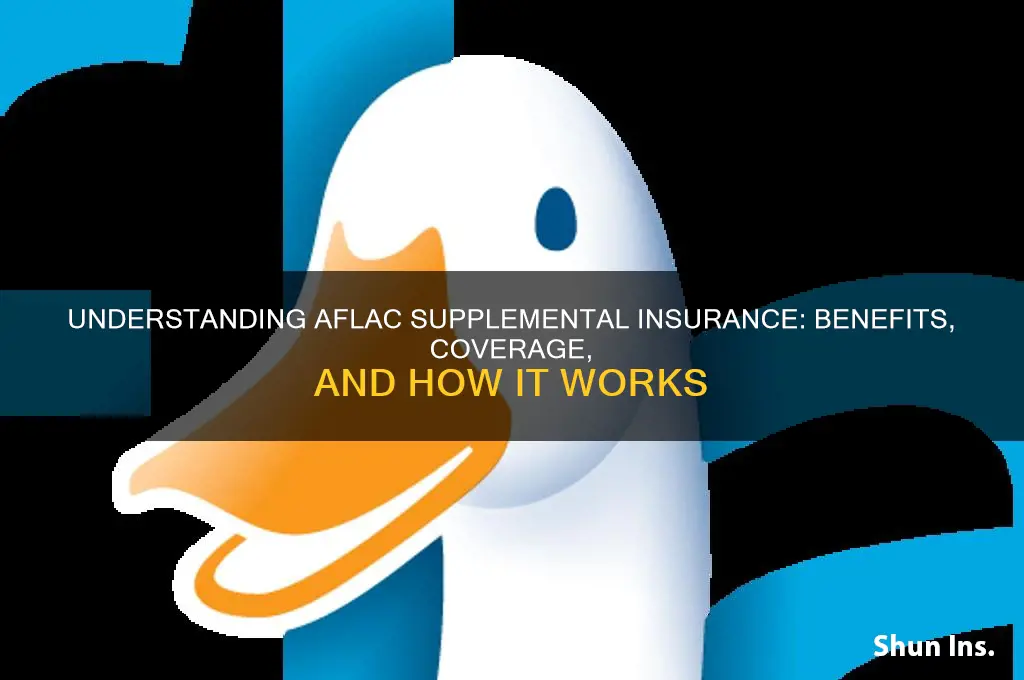 what is aflac supplemental insurance
