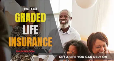 Life Insurance Simplified: Age-Graded Policies Explained