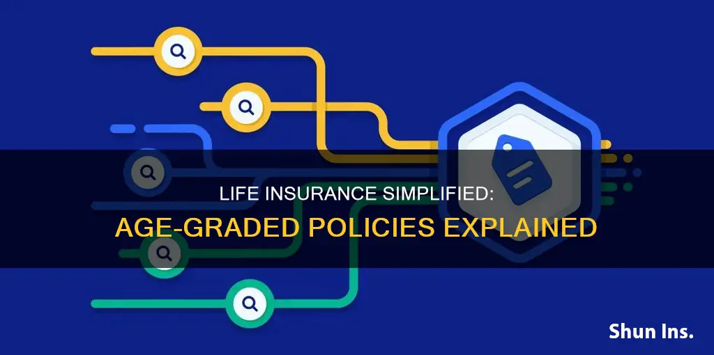 what is age graded life insurance