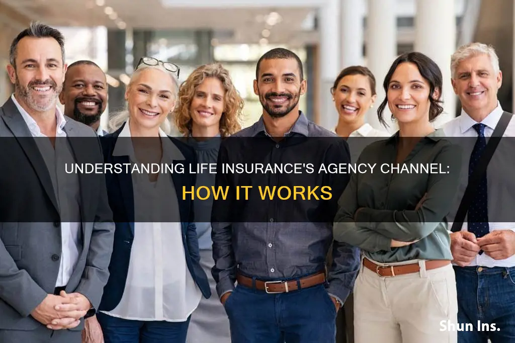 what is agency channel in life insurance