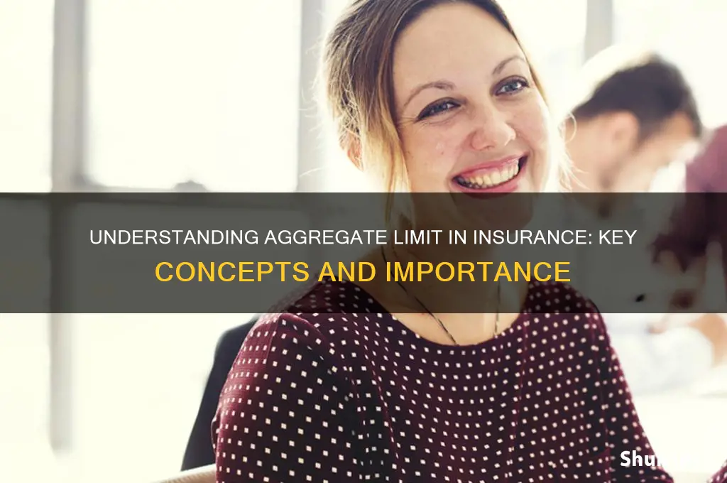 what is aggregate limit in insurance