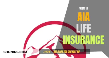 AIA Life Insurance: What You Need to Know