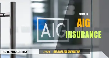 Understanding AIG Insurance: Coverage, Benefits, and Why It Matters