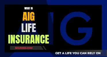 AIG Life Insurance: What You Need to Know