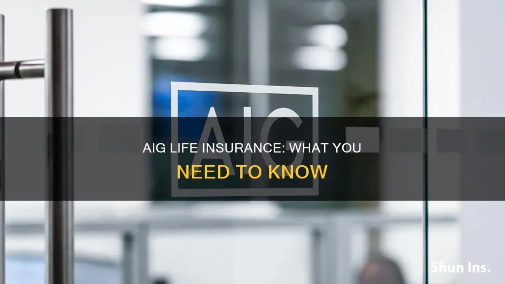 what is aig life insurance