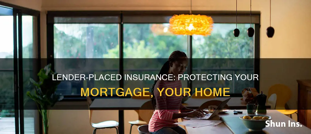 what is alender-placed insurance in a mortgage