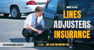 The Intricacies of Insurance Claims: Understanding the Role of All Lines Adjusters