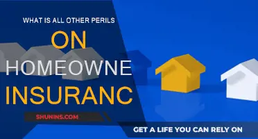 Understanding 'All Other Perils' in Your Home Insurance Policy