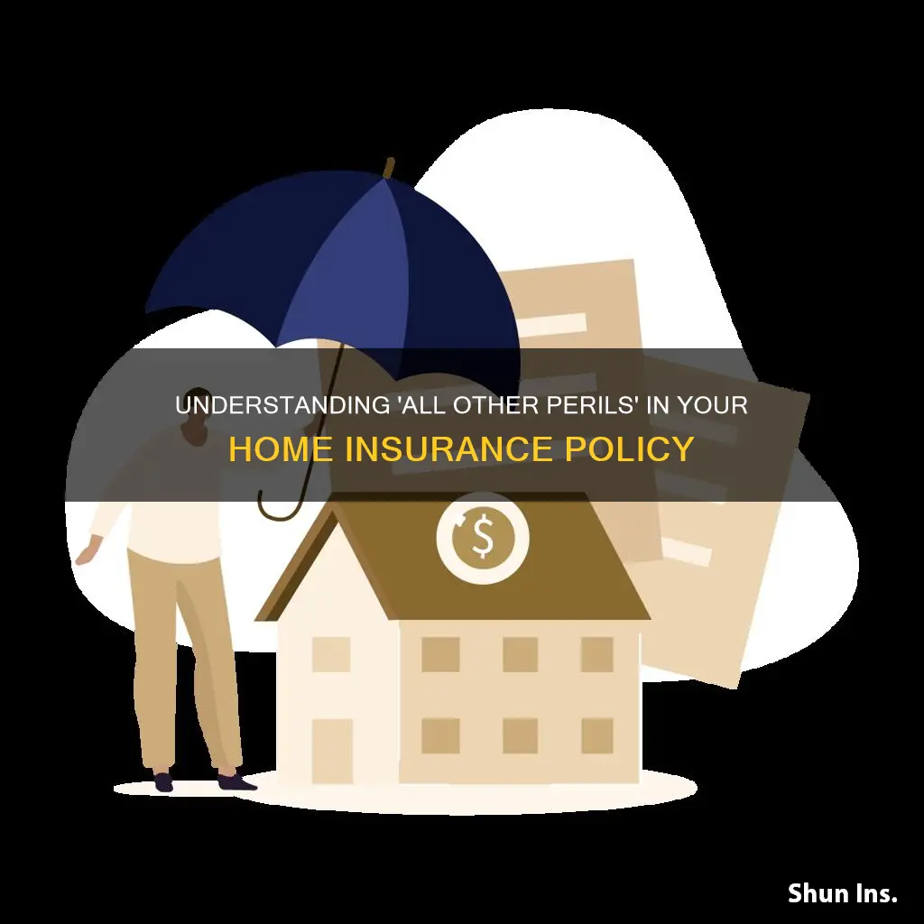 what is all other perils on homeowners insurance