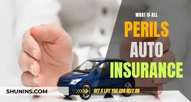 The Ultimate Guide to All Perils Auto Insurance