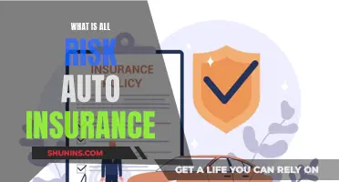 The Benefits of All-Risk Auto Insurance Coverage