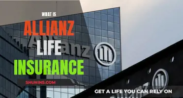 Allianz Life Insurance: Comprehensive Coverage, Peace of Mind