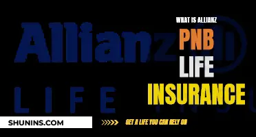 Allianz PNB Life Insurance: Comprehensive Financial Protection for Filipinos