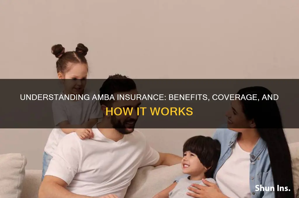 what is amba insurance
