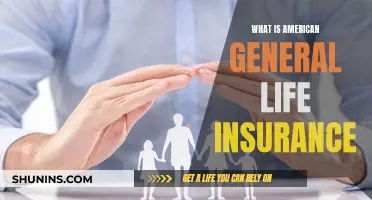 American General Life Insurance: What You Need to Know