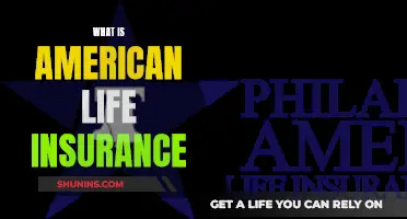 American Life Insurance: What You Need to Know