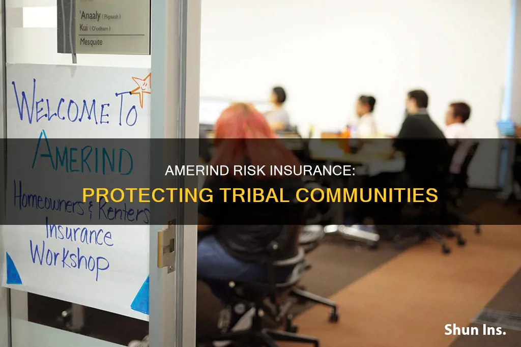 what is amerind risk insurance