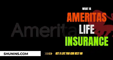 Ameritas Life Insurance: What You Need to Know