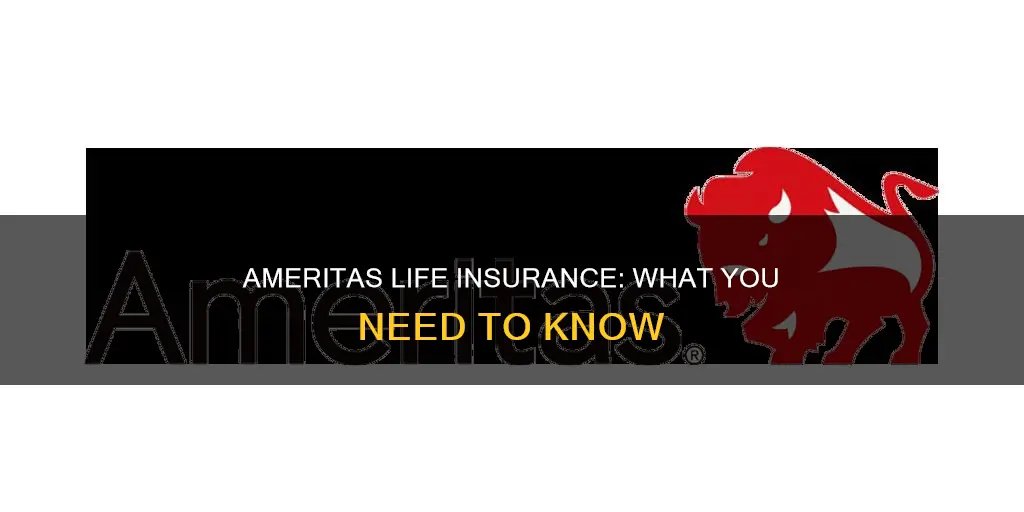 what is ameritas life insurance