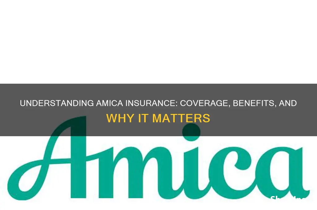 what is amica insurance