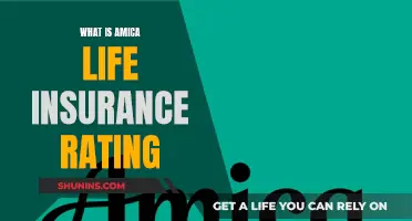 Amica Life Insurance Rating: Is It Worth It?