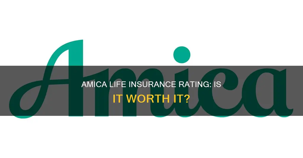 what is amica life insurance rating