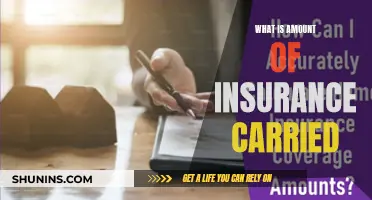 Insurance Carried: How Much is Enough?