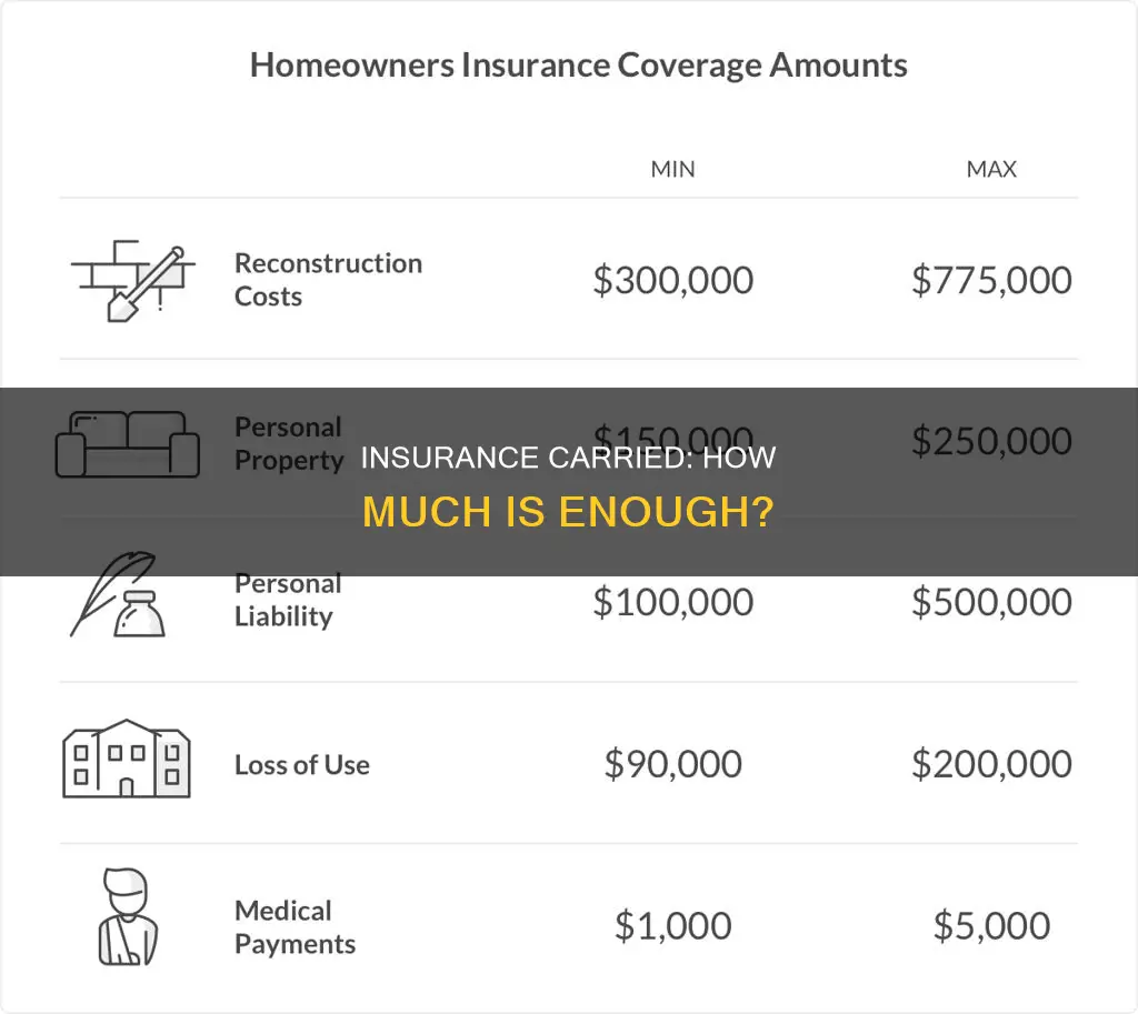 what is amount of insurance carried