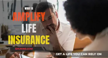 Amplify Life Insurance: What You Need to Know