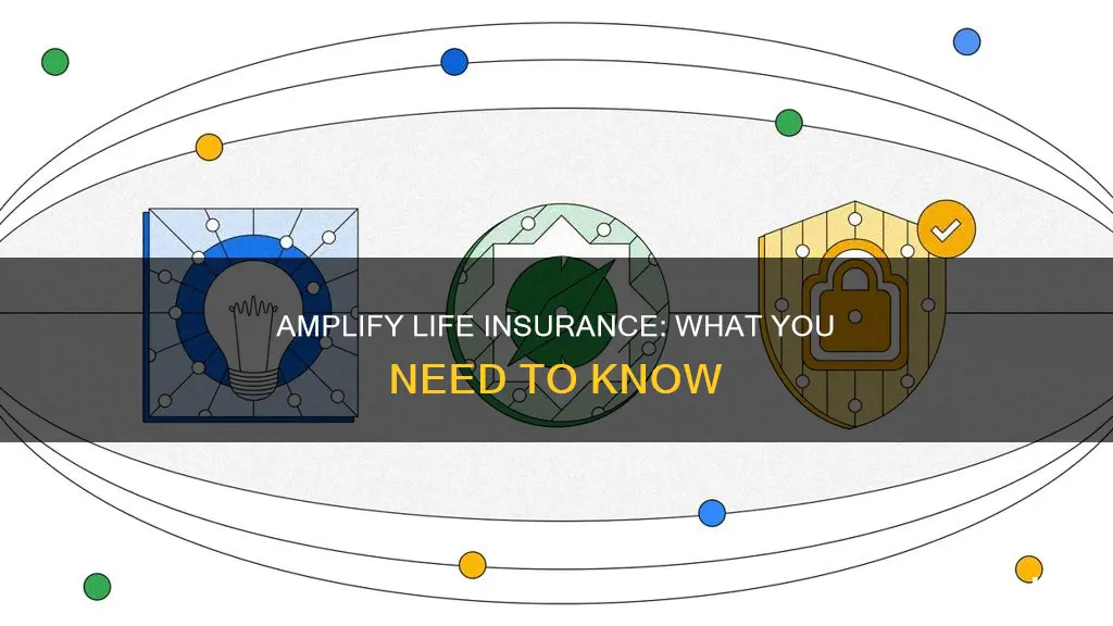 what is amplify life insurance