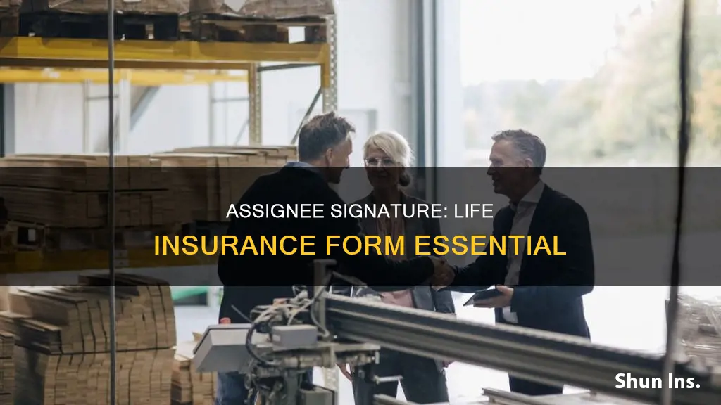 what is an absolute assignee signature on life insurance forms